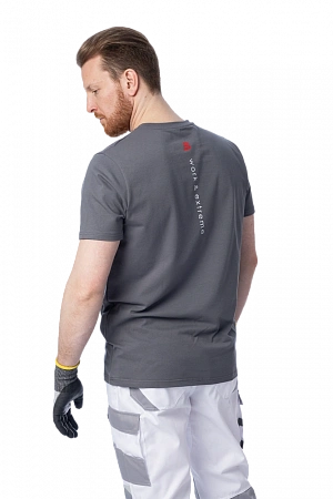 Футболка Brodeks KS705, серый
