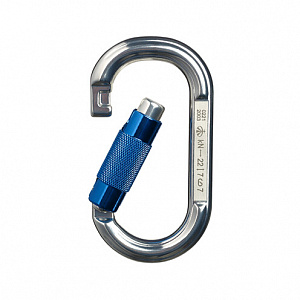 Ver 0221 Карабин овал алюминиевый автомат (Keylock) Vertical C в Сургуте 0